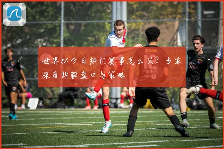 世界杯今日热门赛事怎么买？专家深度拆解盘口与策略