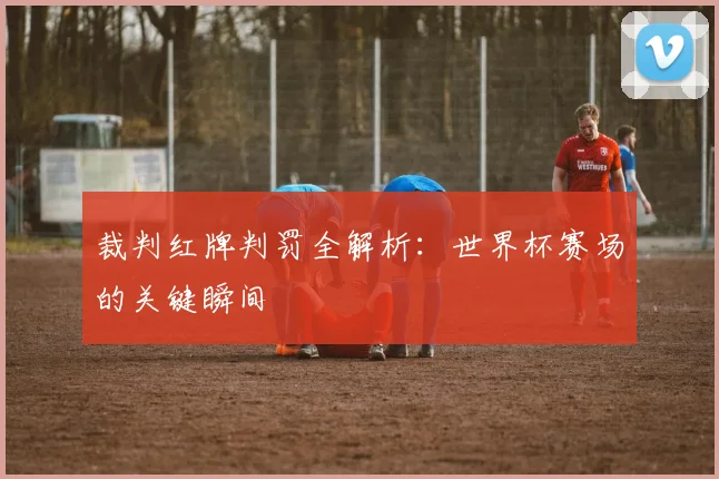 裁判红牌判罚全解析：世界杯赛场的关键瞬间