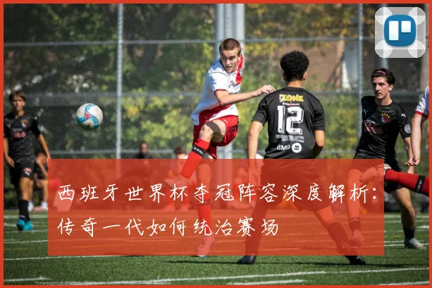 西班牙世界杯夺冠阵容深度解析：传奇一代如何统治赛场