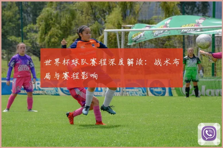 世界杯球队赛程深度解读:战术布局与赛程影响