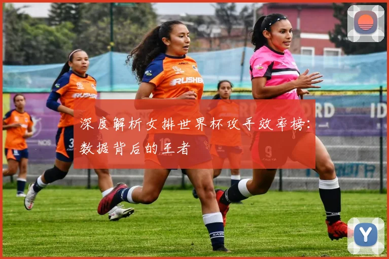 深度解析女排世界杯攻手效率榜:数据背后的王者