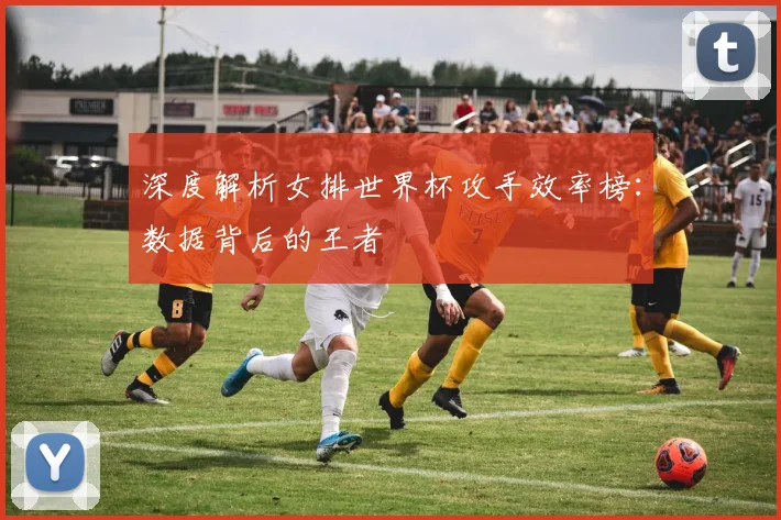 深度解析女排世界杯攻手效率榜:数据背后的王者