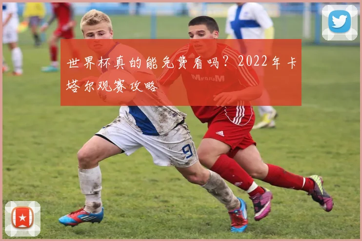 世界杯真的能免费看吗?2022年卡塔尔观赛攻略