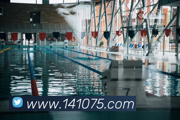 mksports官方网站登录入口平台生态图